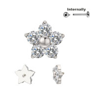 Titanium Star Shaped Crystal Top for Internally Threaded...