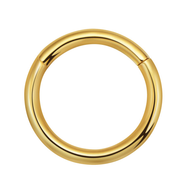 Big Gauge Hinged Segment Clicker Ring 3x16mm Gold