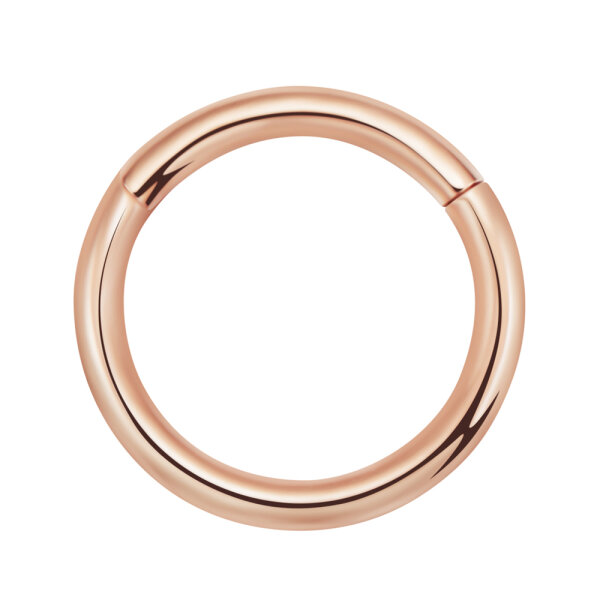 Big Gauge Hinged Segment Clicker Ring 2,5x10mm Rosegold