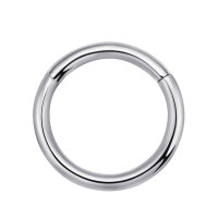 Big Gauge Hinged Segment Clicker Ring